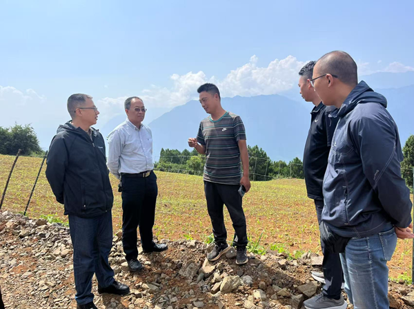 J9九游会助力乡村全面振兴专家团队深入牛角湾镇开展中药材种植指导